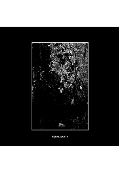 JAAKKO VANHALA "Feral Earth" cd